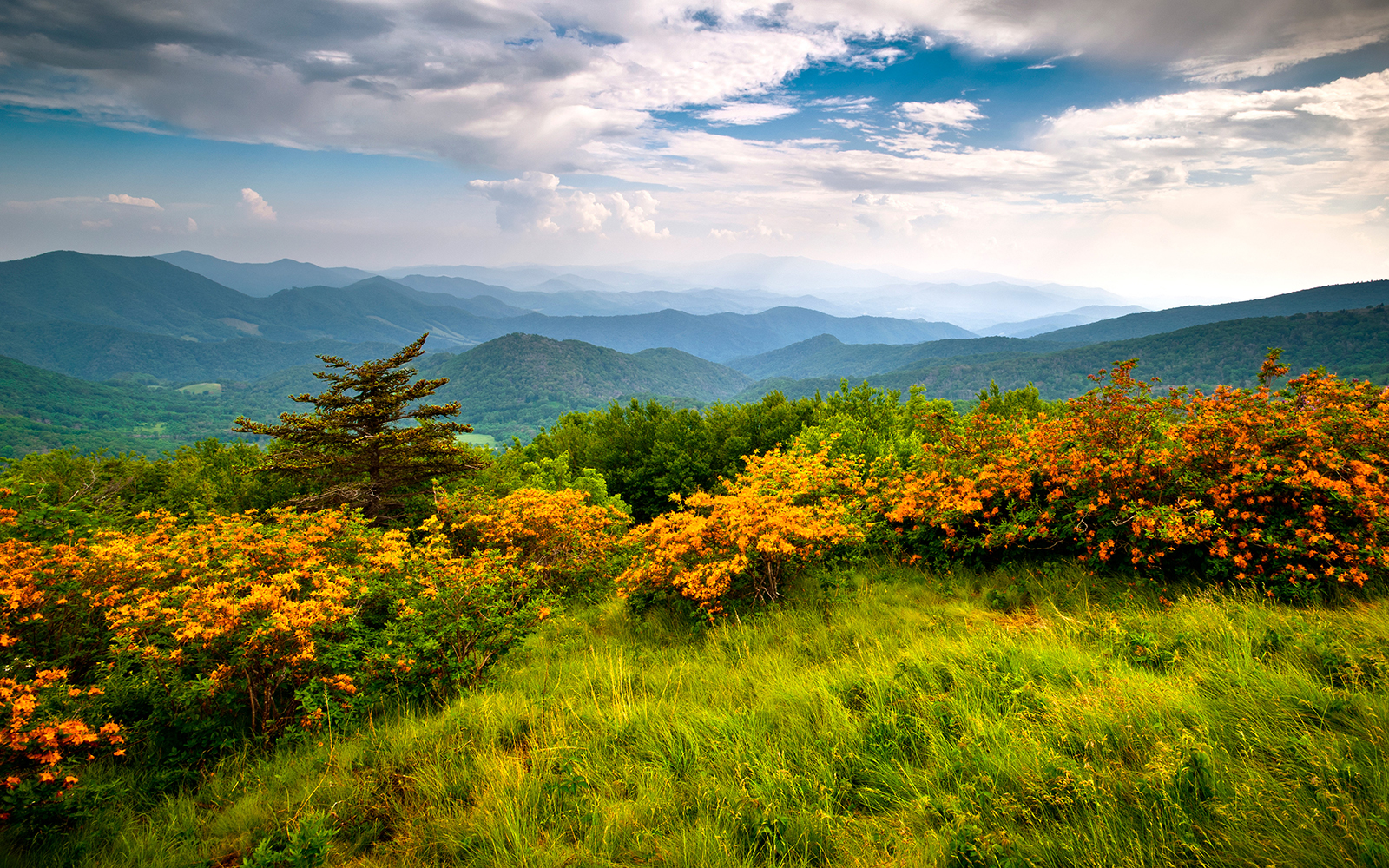 Scenic fall landscape with grassy field in front sloping down to trees and then a series of mountains going deep into the background with a beautiful sky above