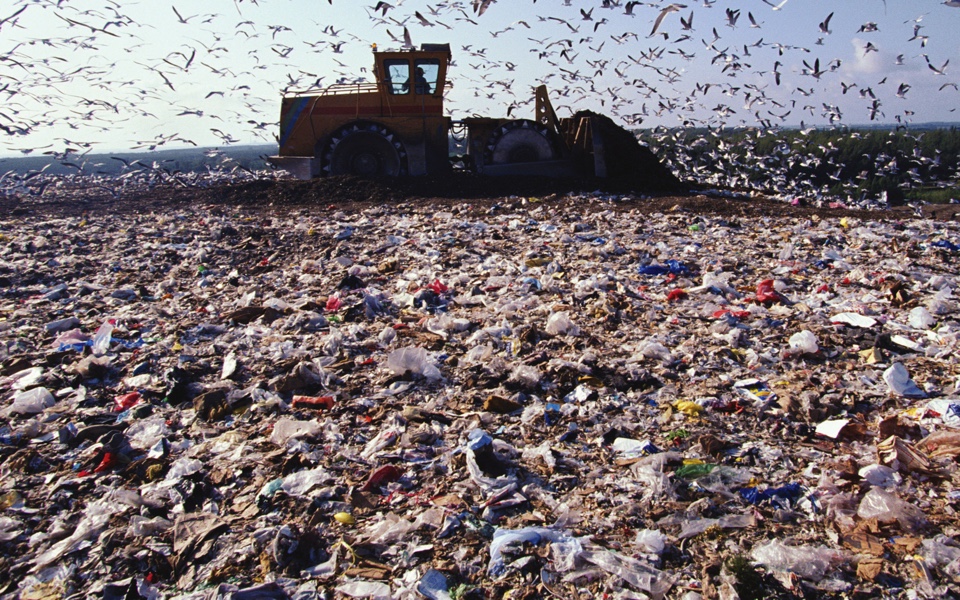 Wastes and Toxics Photo