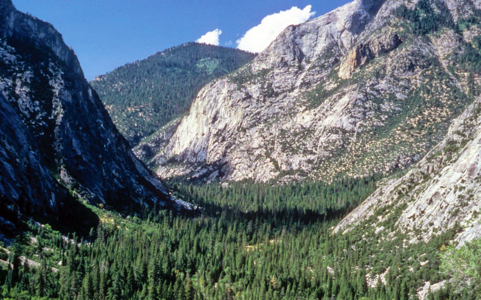 CA mountains