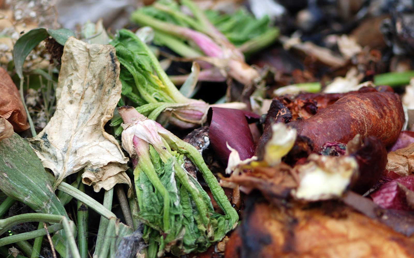 food and vegetable scraps