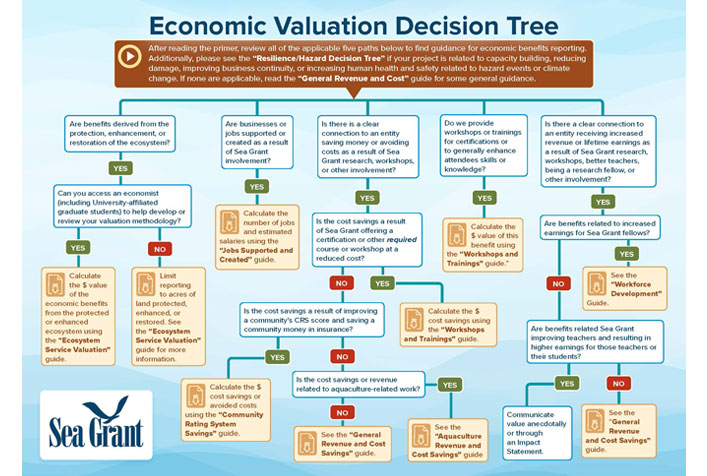 graphic showing Economic Valuation Decision Tree
