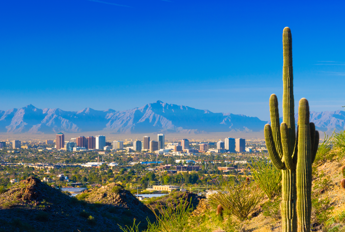 Image of the city of Phoenix from a distance with cactus in the forefront and mountains in distance