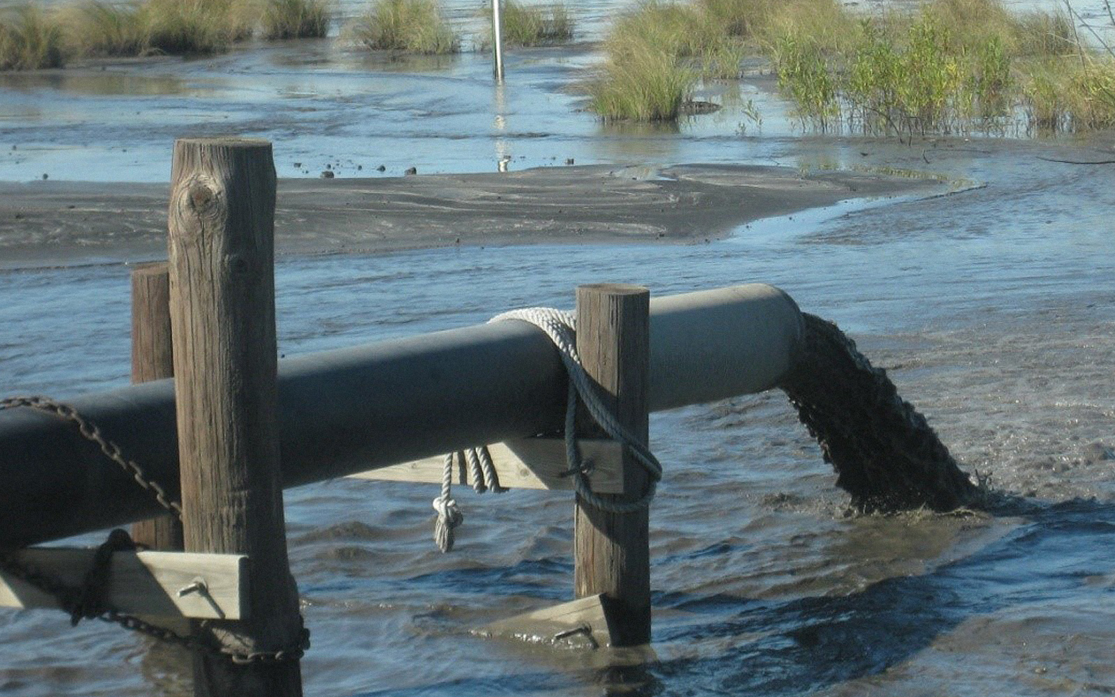 Dark wastewater flows from a pipe into a waterbody with plants