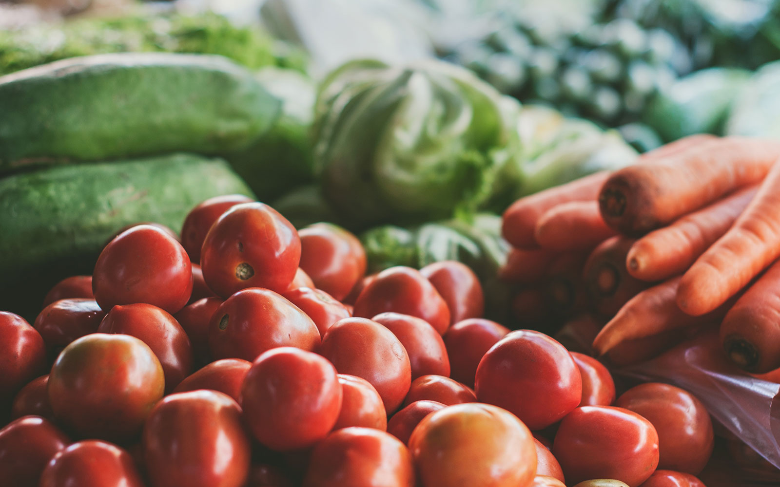 Photo of fresh vegetables
