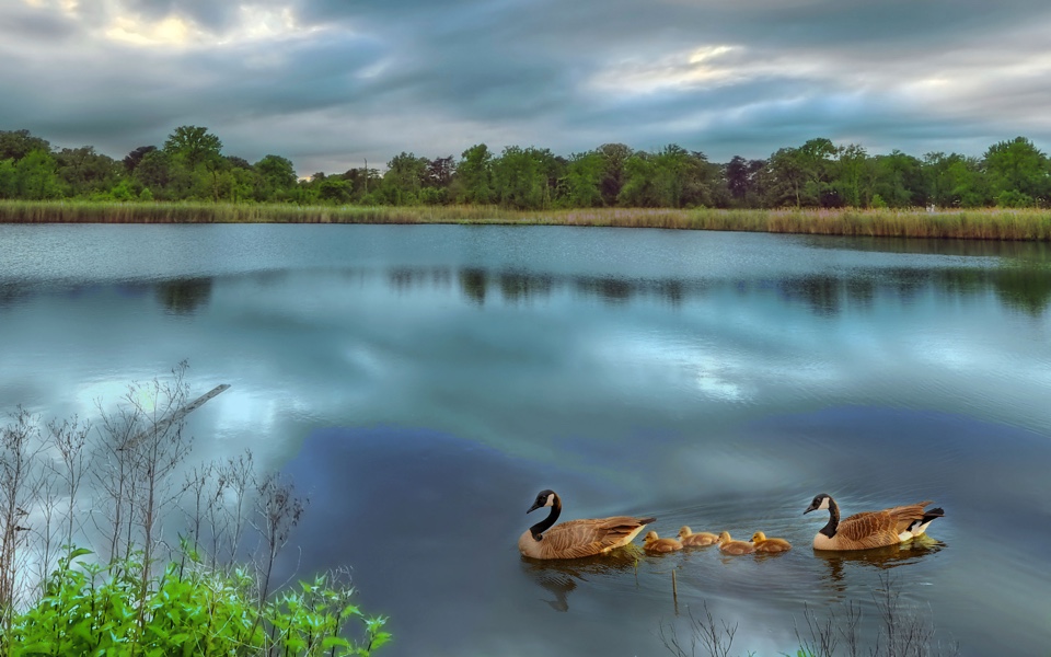 Water Quality Photo