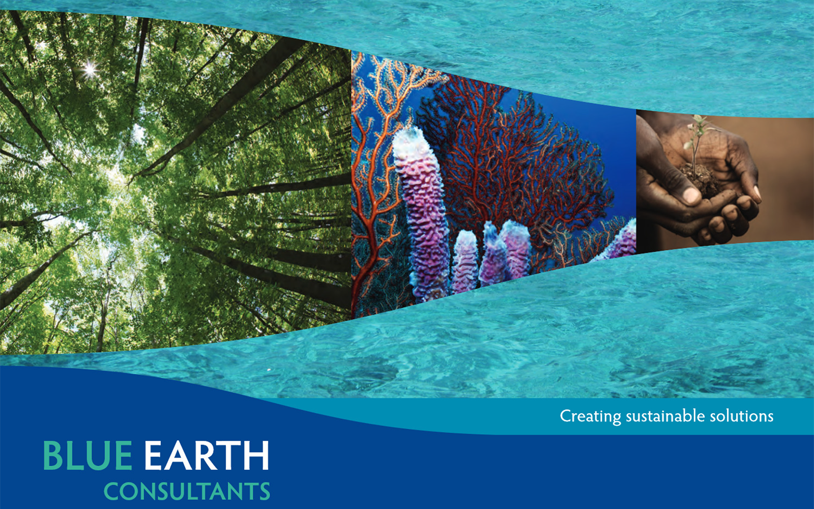 Blue Earth Consultants