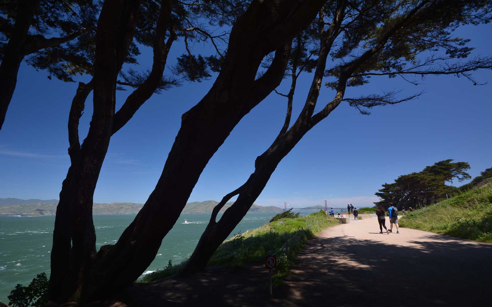 View from a path in Lands End park in San Francisco, looking over coastal water with the Golden Gate Bridge in the distance