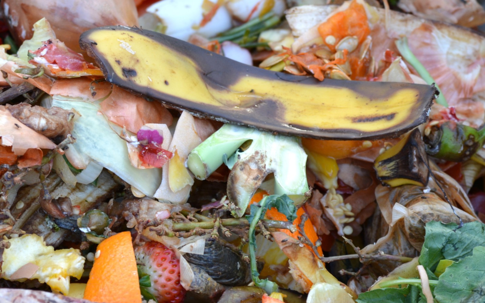 food waste