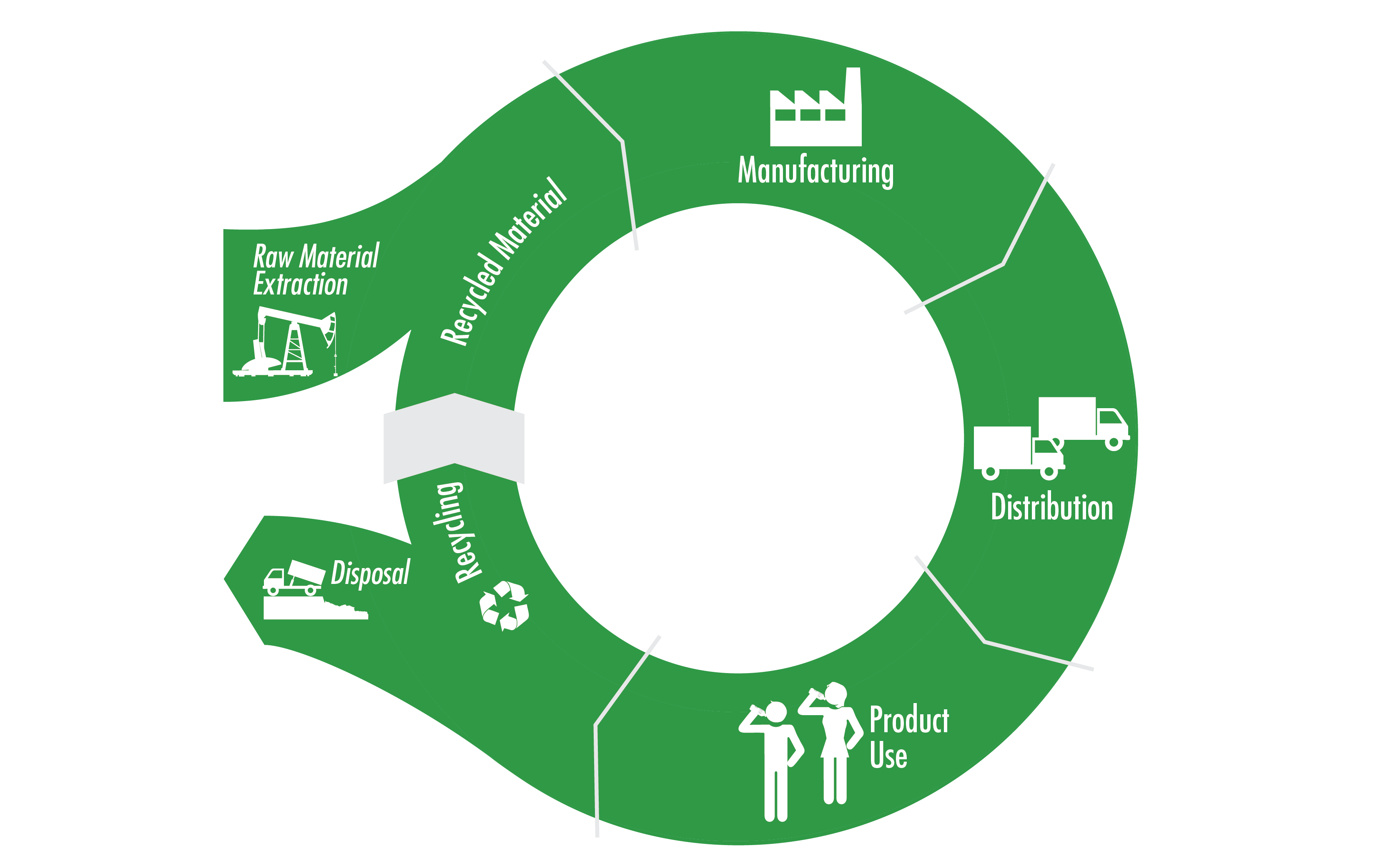 Life cycle diagram