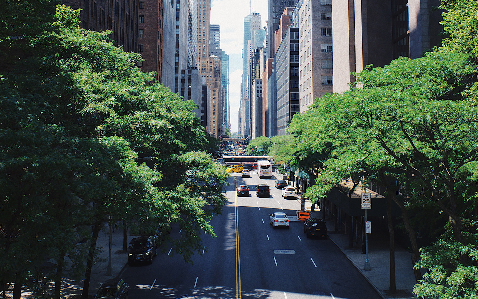 photo of a NYC Street with tall buildings and trees in the forefront