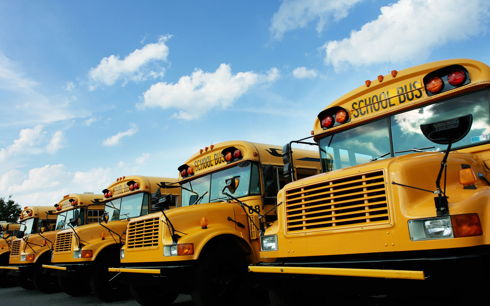 Photo of a line of school buses