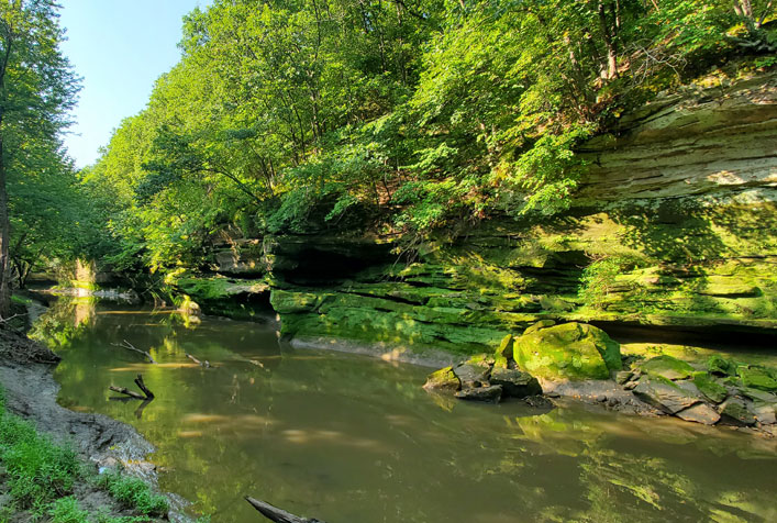 still looking stream at the base of rock and green forest