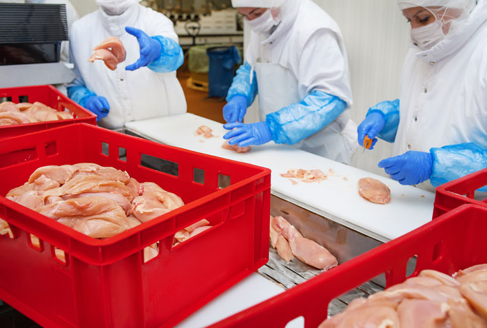 Workers wearing full protective gear while processing chicken in a food processing facility