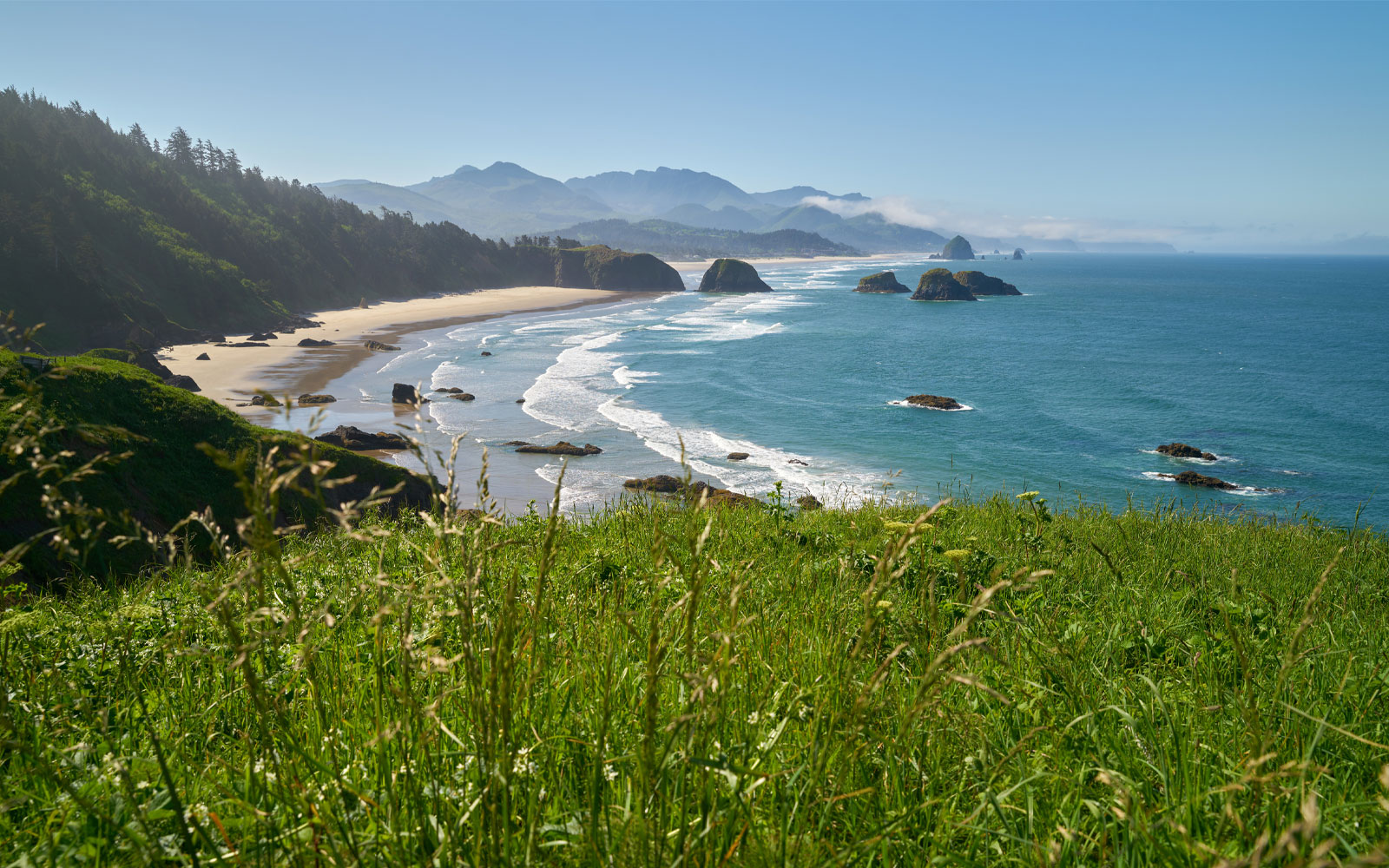 aerial shot of the Oregon coast