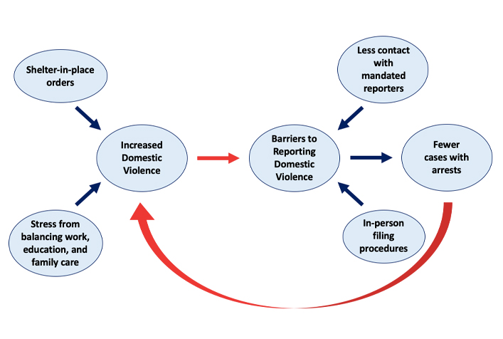 diagram of impact of COVID-19 on Domestic Violence