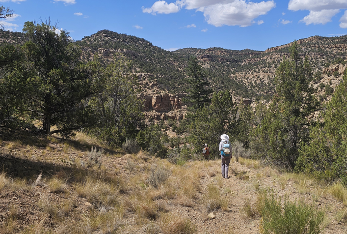 photo of person hiking along a trail looking at the mountains in the distance