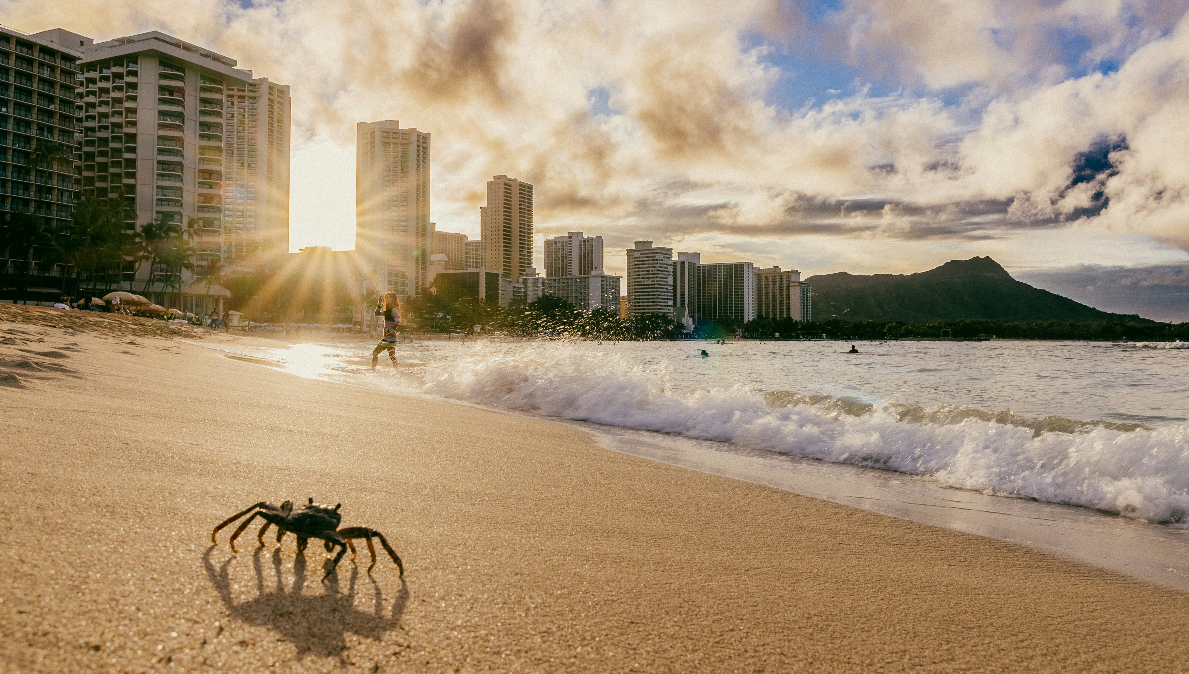 A crab on a beach in front of Honolulu