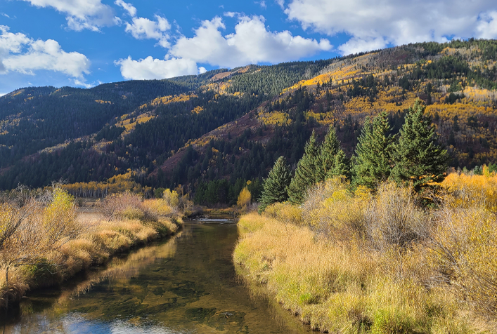 Image of a river below tree lined mountains in the background