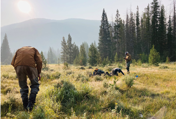 Image of a watershed area with people taking samples