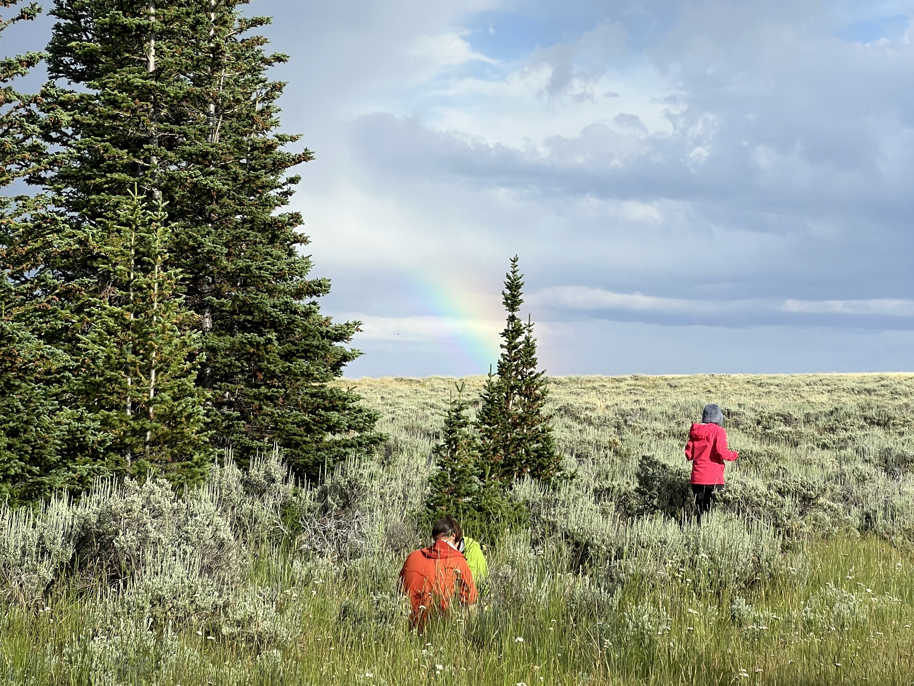 Photo of Assessment, Inventory, and Monitoring field crew in 2023 with rainbow in background