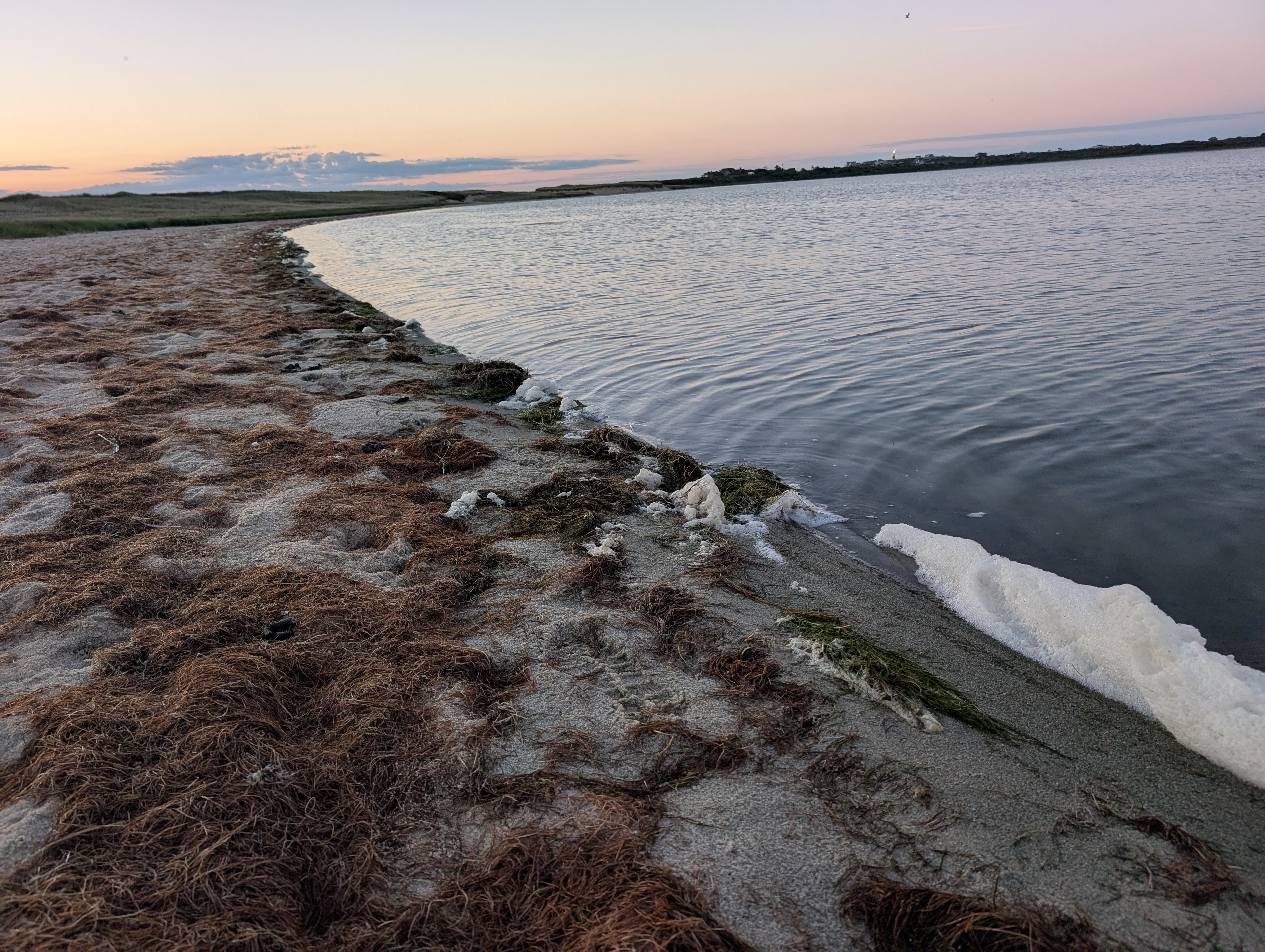 shoreline showing some foam in Nantucket, MA