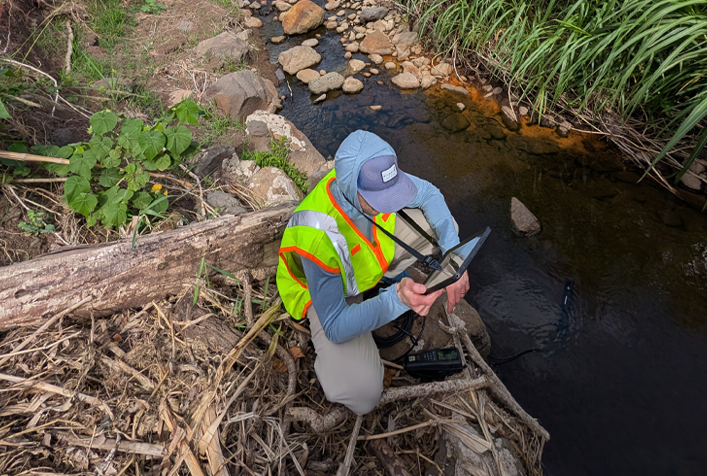 Sampling official kneeling by a small stream to check sampling information on a portable screen.