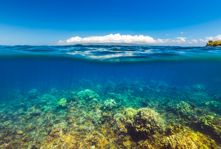 photo showing coral reef in the ocean and the sky and a cloud above the ocean surface