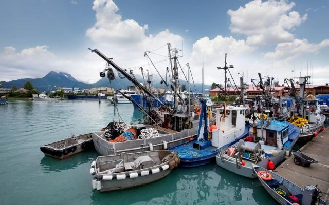 Ocean Conservation Strategic Funding Initiatives: A Study of Successes